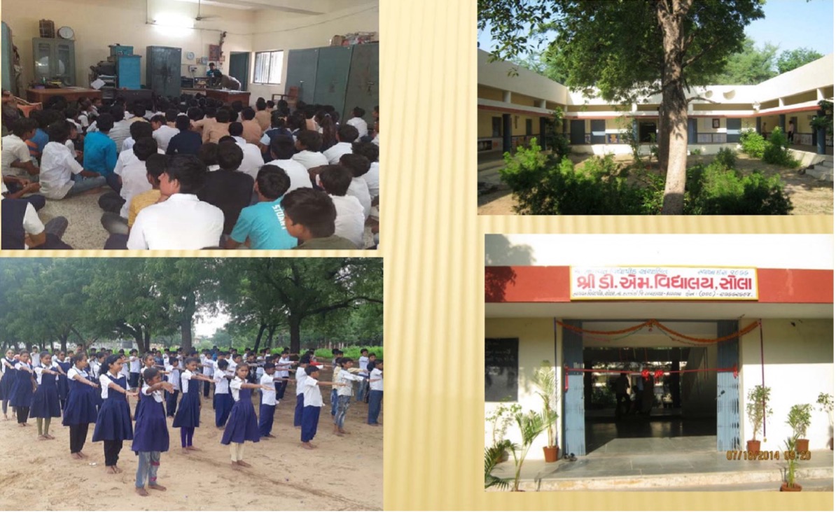 Shri D.M. Vidyalay School